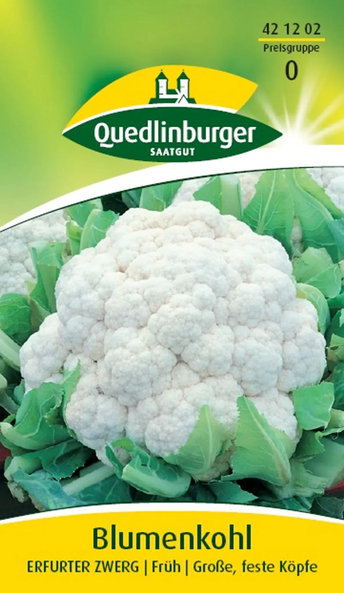 Blumenkohl „Erfurt“ – bewährte, frühe Sorte, ca. 90 Pflanzen